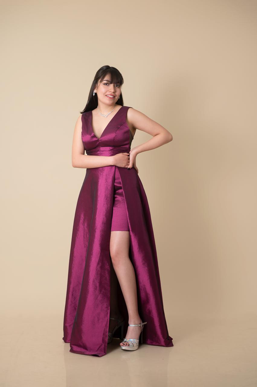 imagen de el vestido